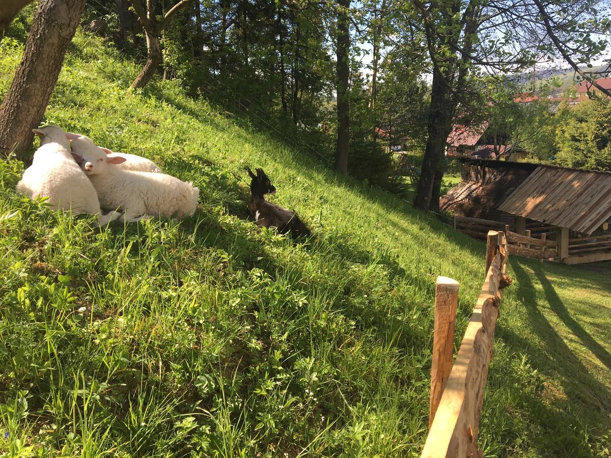 Chata Skerda - Zuberec Exteriör bild